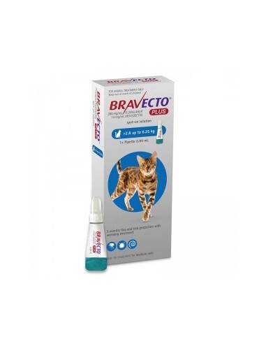 Bravecto Plus Spot On Cat 2.8-6.25 kg, 250 mg,...