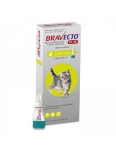 Bravecto Plus Spot On Cat 1.2-2.8 kg, 112.5 mg, 1 pipeta