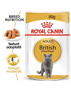 Royal Canin Cat British Shorthair Adult in Sos, 12 X 85 g