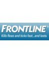 Frontline