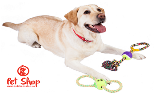 Descopera ce jucarii sunt potrivite pentru animalul tau de companie
