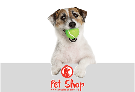 Cum sa ii oferi catelului tau cea mai buna ingrijire?